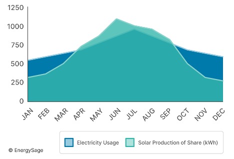 Graph showing community solar production and electricity usage by month
